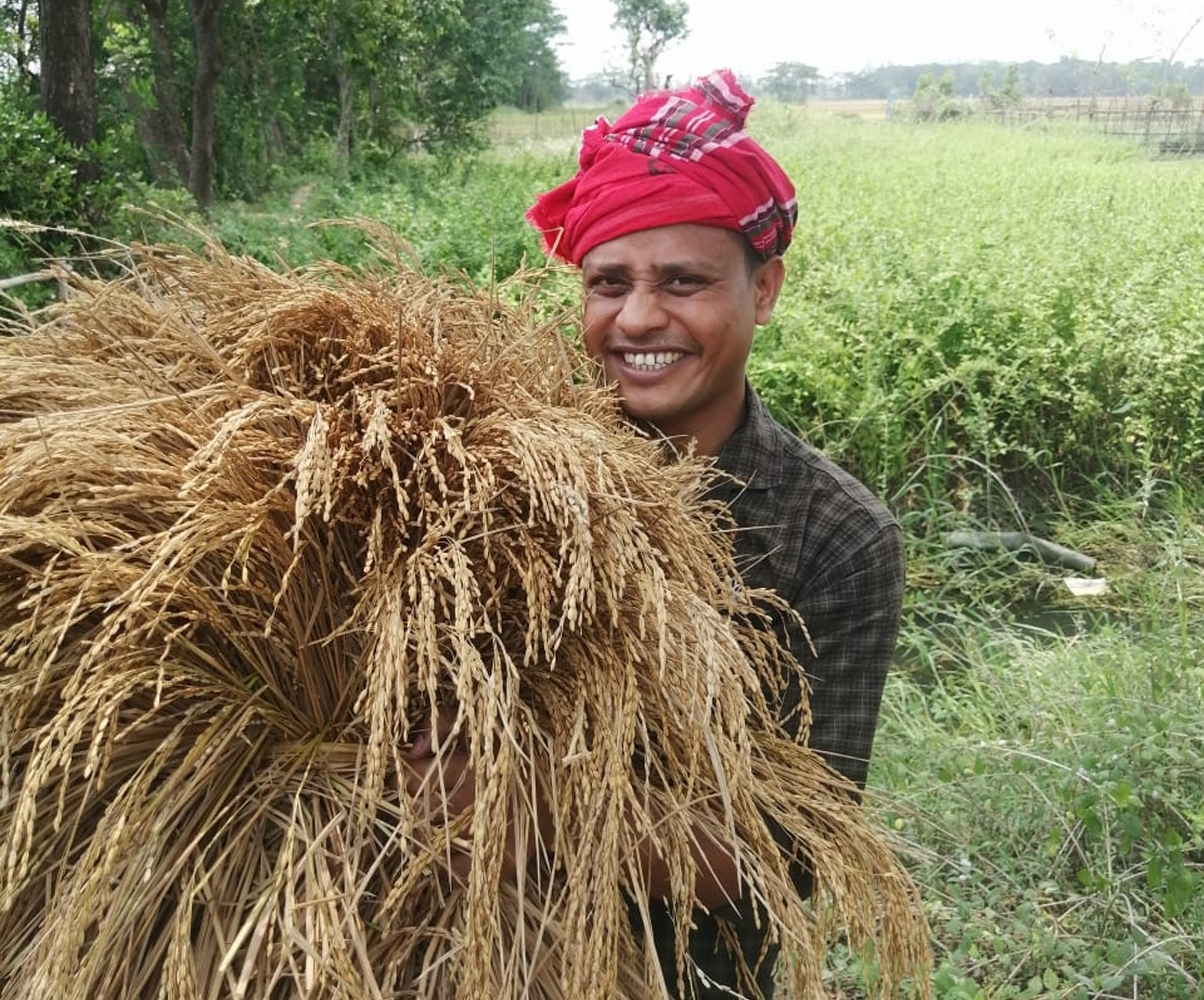 Deyang: An Editorial Journey Through Beloved Rivers, Rice, and Fish